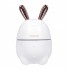 Зайка Увлажнитель воздуха и ночник 2в1 Humidifier, Белый