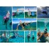 Маска для Подводного плавания Сноркелинга Levand c Креплением для камеры GoPro L/X Pink