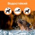 Ошейник антилай ультразвуковой Digital Lion BK-C01, с вибрацией, синий/жёлтый