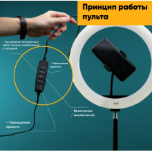 Набор блогера Digital Lion MD 492 Cелфи лампа 32 см + Студийный фото штатив/Трипод